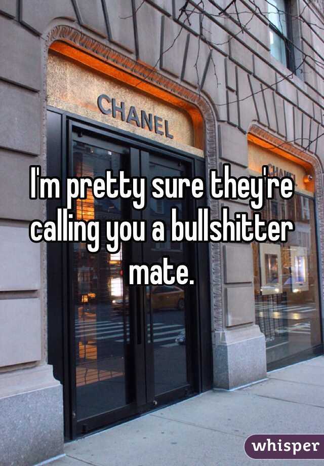 I'm pretty sure they're calling you a bullshitter mate.