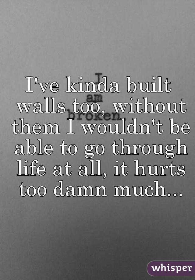 I've kinda built walls too, without them I wouldn't be able to go through life at all, it hurts too damn much...