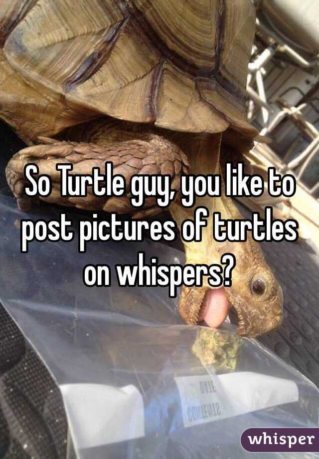 So Turtle guy, you like to post pictures of turtles on whispers?