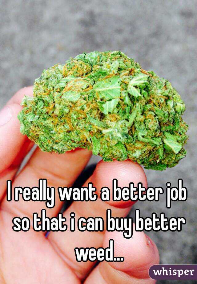I really want a better job so that i can buy better weed...