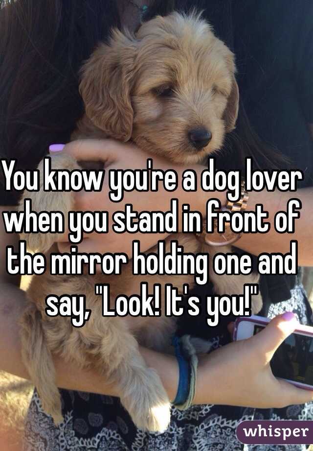 You know you're a dog lover when you stand in front of the mirror holding one and say, "Look! It's you!"