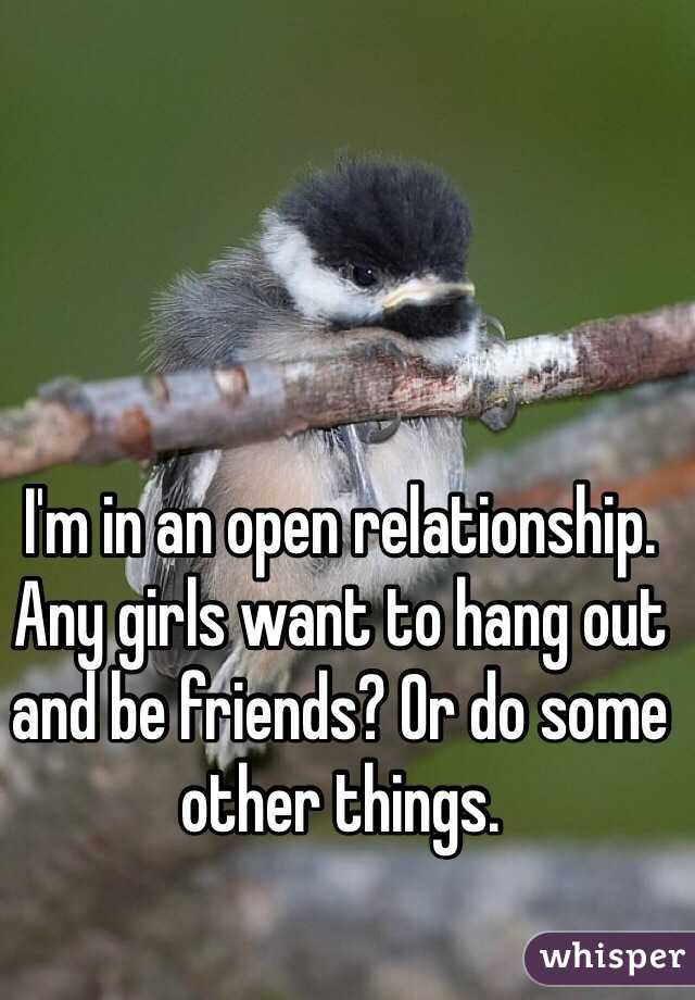 I'm in an open relationship. Any girls want to hang out and be friends? Or do some other things.