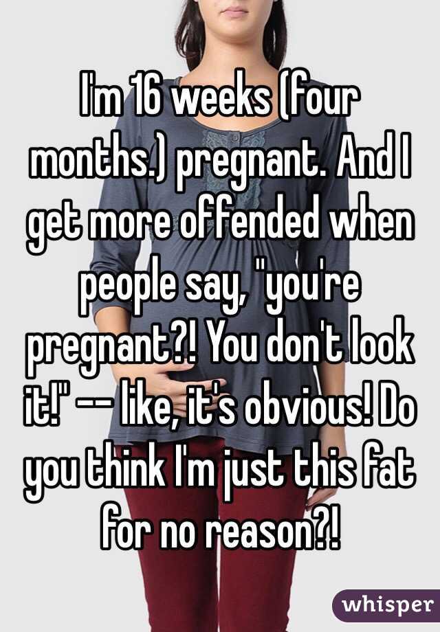 I'm 16 weeks (four months.) pregnant. And I get more offended when people say, "you're pregnant?! You don't look it!" -- like, it's obvious! Do you think I'm just this fat for no reason?! 