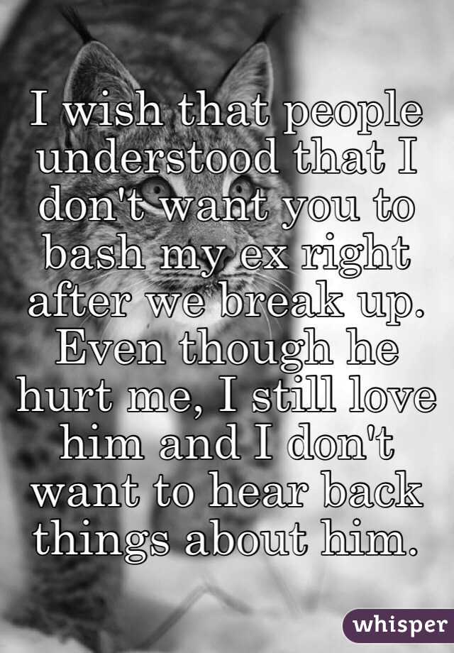 I Wish That People Understood That I Don T Want You To Bash My Ex Right