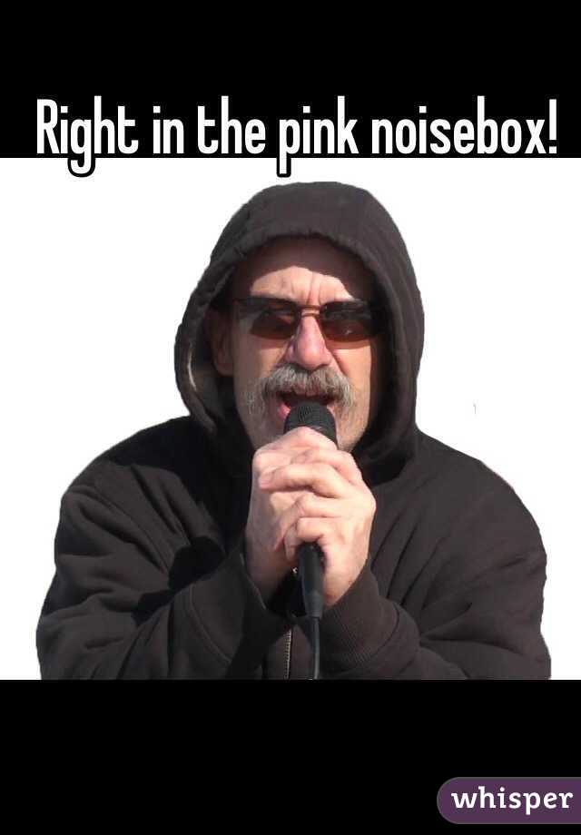 Right in the pink noisebox!
