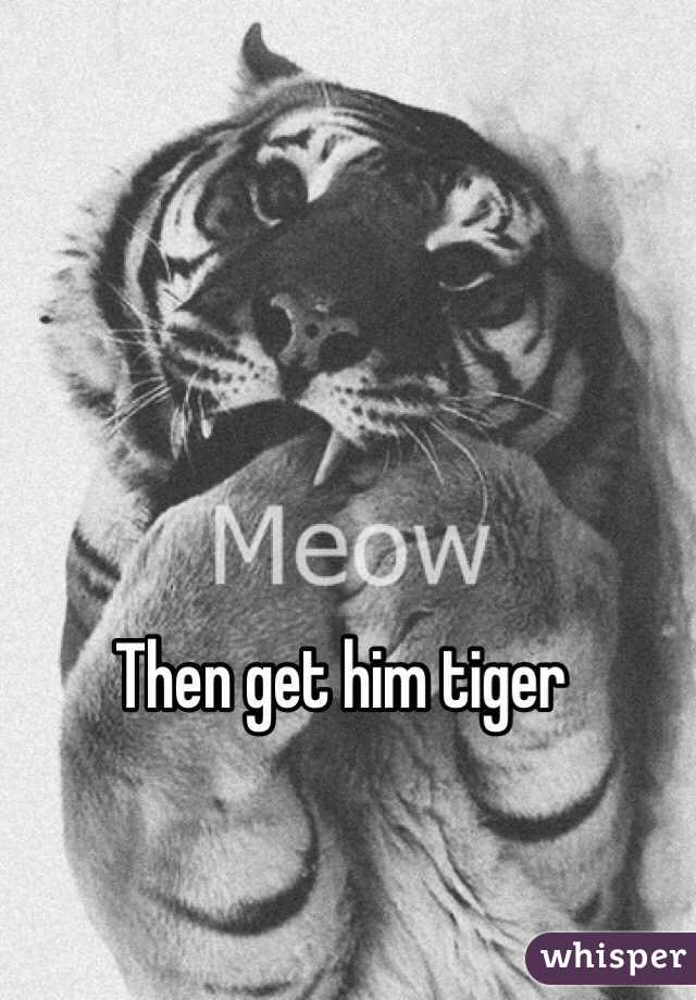 Then get him tiger