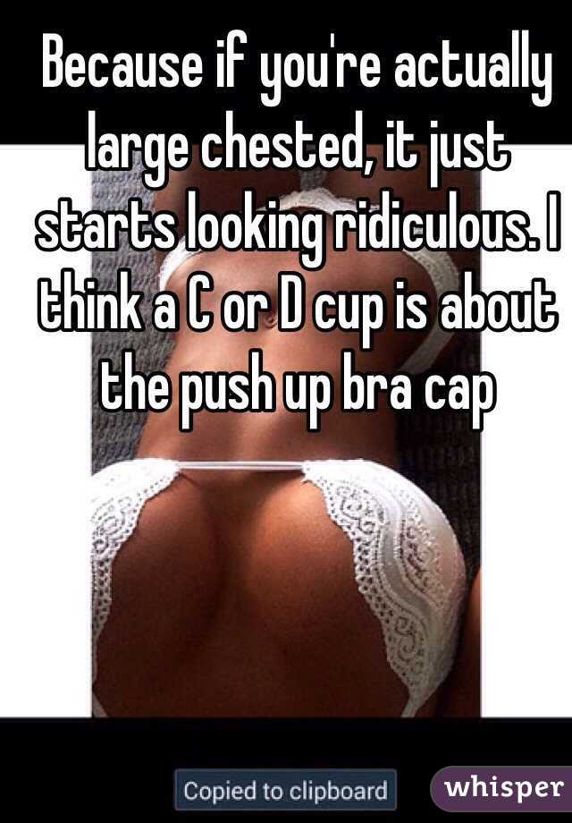 Because if you're actually large chested, it just starts looking ridiculous. I think a C or D cup is about the push up bra cap