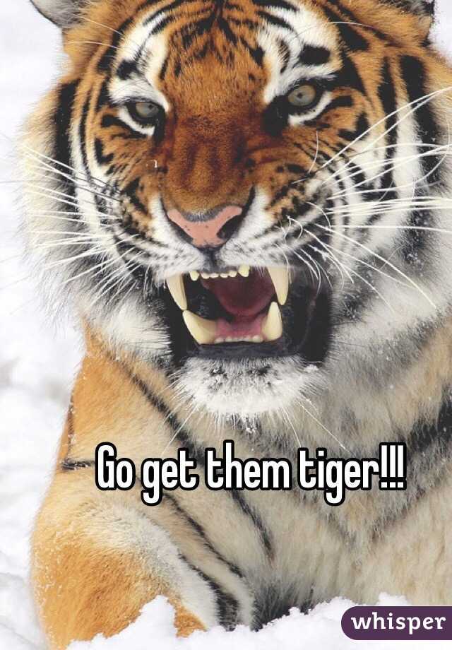 Go get them tiger!!!