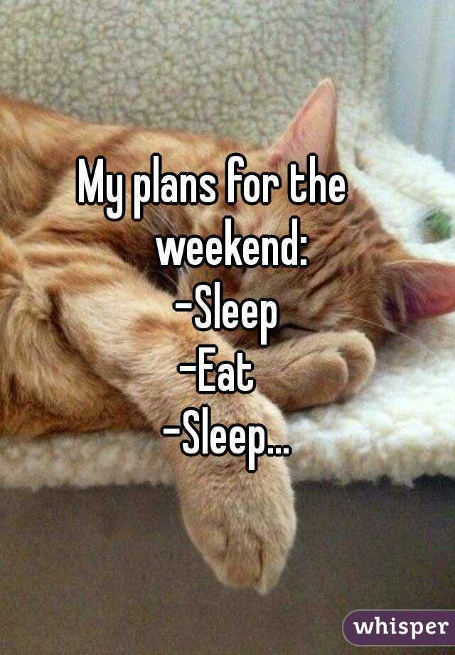 My plans for the    weekend:
-Sleep
-Eat  
-Sleep...
