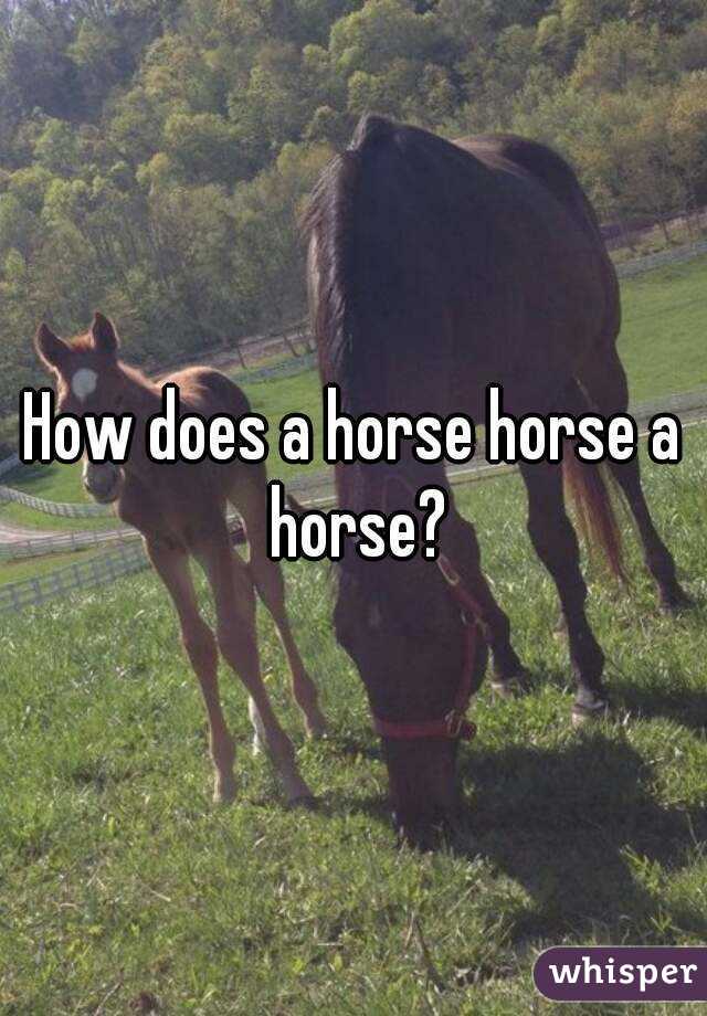 How does a horse horse a horse?
