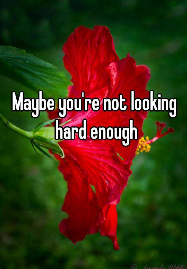 maybe-you-re-not-looking-hard-enough