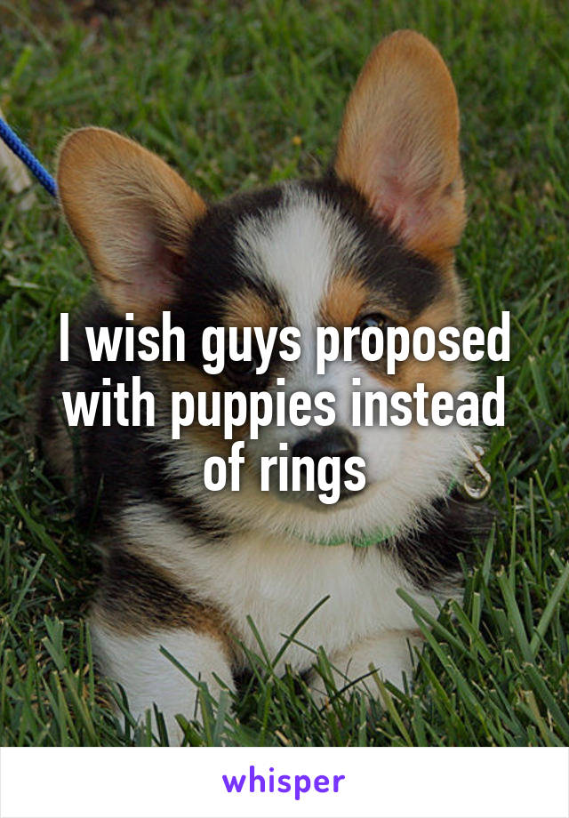 I wish guys proposed with puppies instead of rings