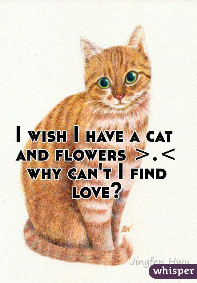 I wish I have a cat and flowers >.< why can't I find love?