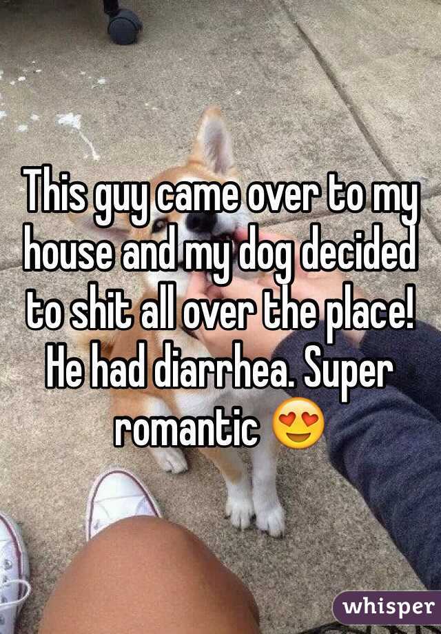 This guy came over to my house and my dog decided to shit all over the place! He had diarrhea. Super romantic 😍