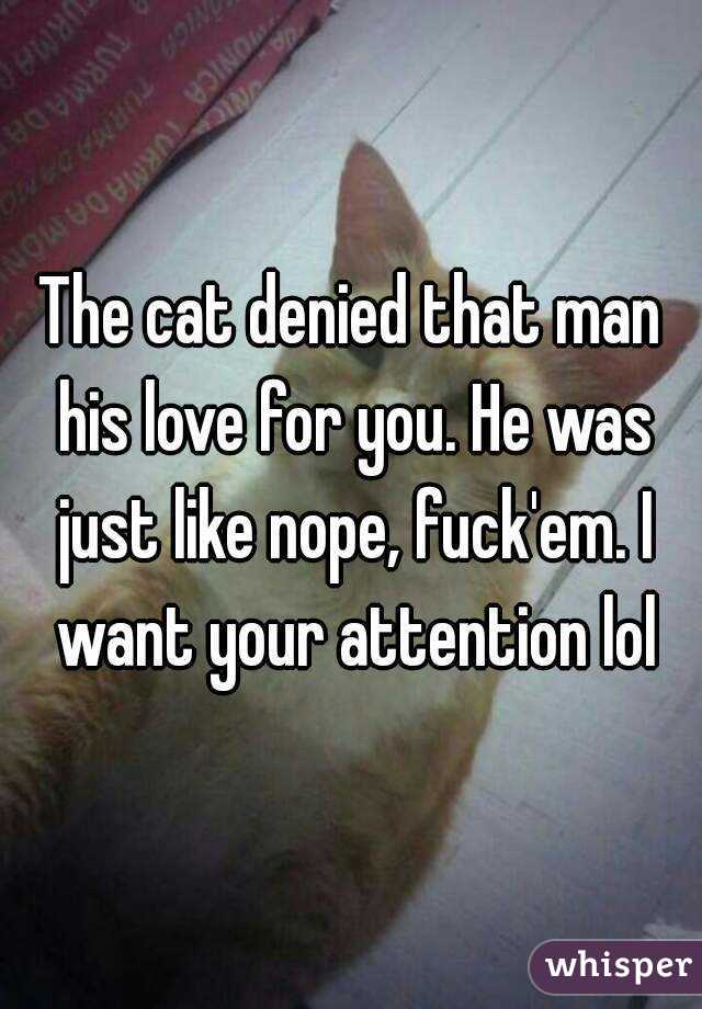 The cat denied that man his love for you. He was just like nope, fuck'em. I want your attention lol