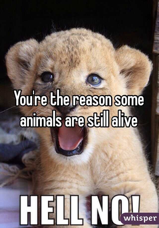 You're the reason some animals are still alive