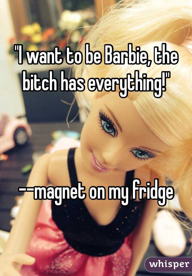 "I want to be Barbie, the bitch has everything!"



--magnet on my fridge
 
