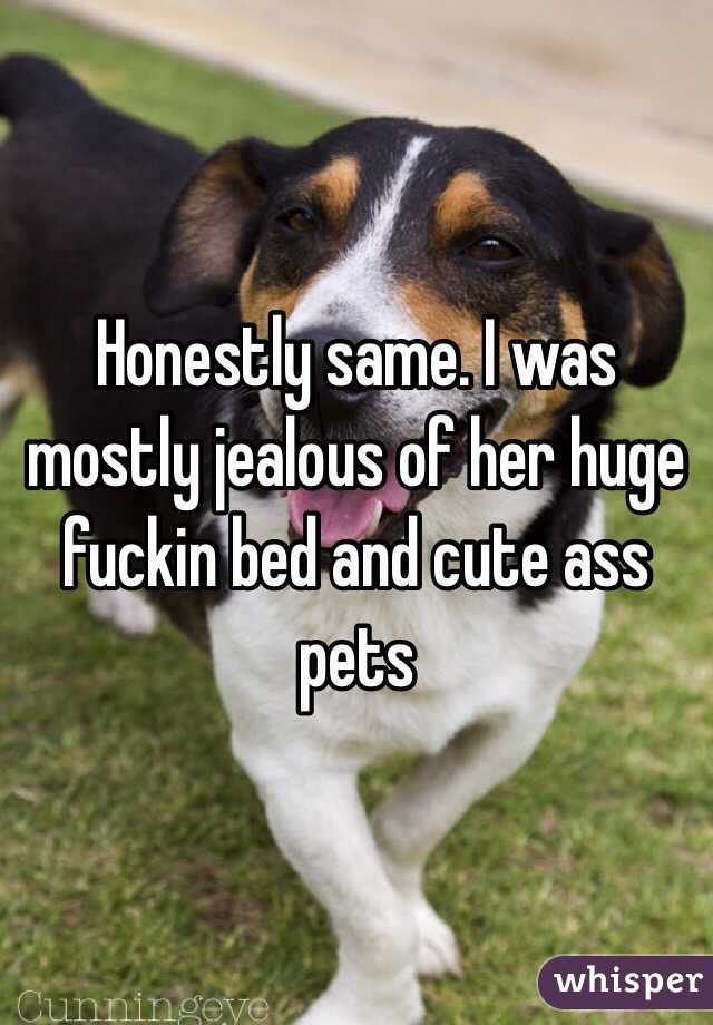 Honestly same. I was mostly jealous of her huge fuckin bed and cute ass pets