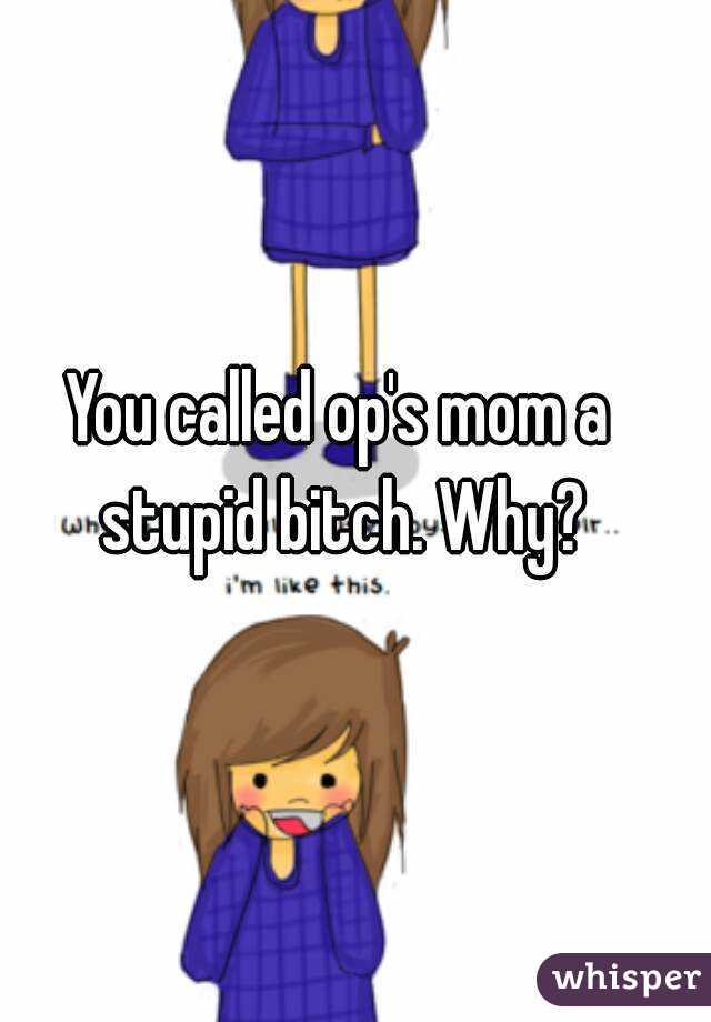 You called op's mom a stupid bitch. Why?