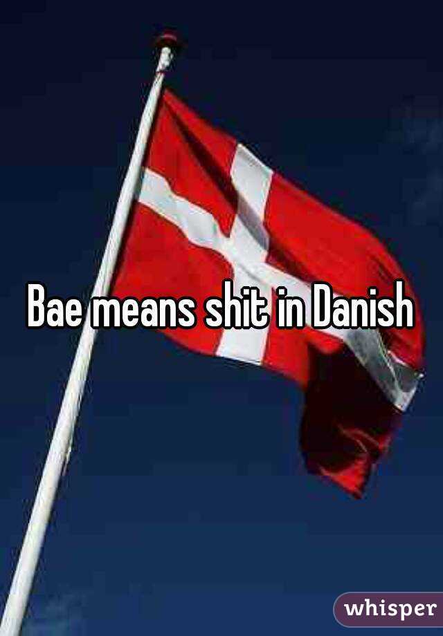 Bae means shit in Danish