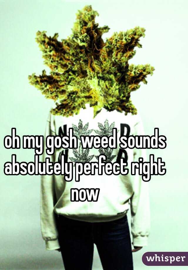 oh my gosh weed sounds absolutely perfect right now