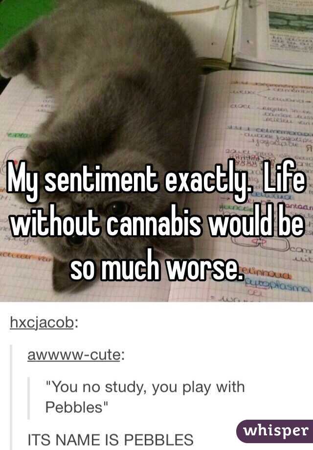 My sentiment exactly.  Life without cannabis would be so much worse.