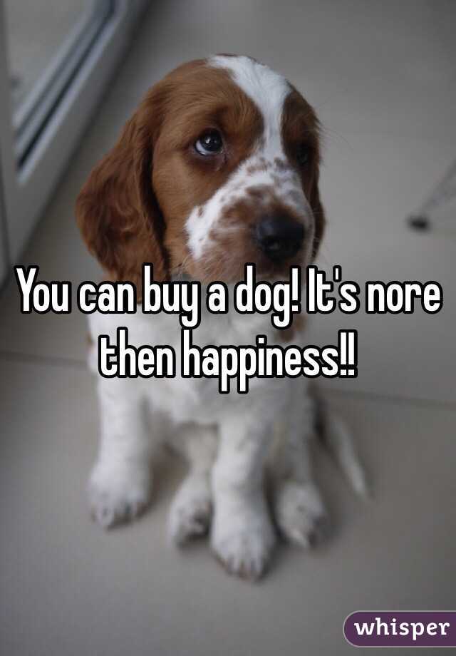 You can buy a dog! It's nore then happiness!!