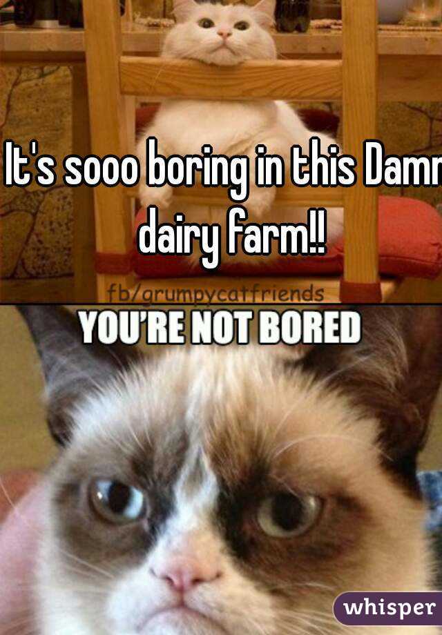 It's sooo boring in this Damn dairy farm!!