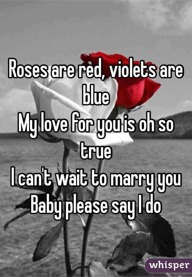 Roses are red, violets are blue
My love for you is oh so true
I can't wait to marry you 
Baby please say I do