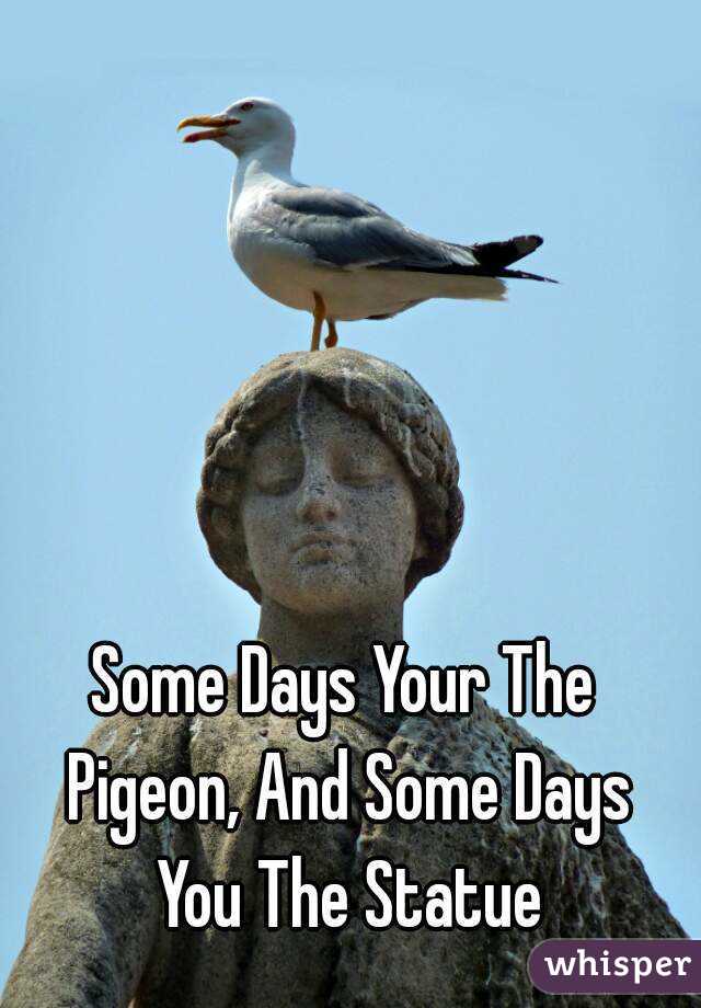 Some Days Your The Pigeon, And Some Days You The Statue