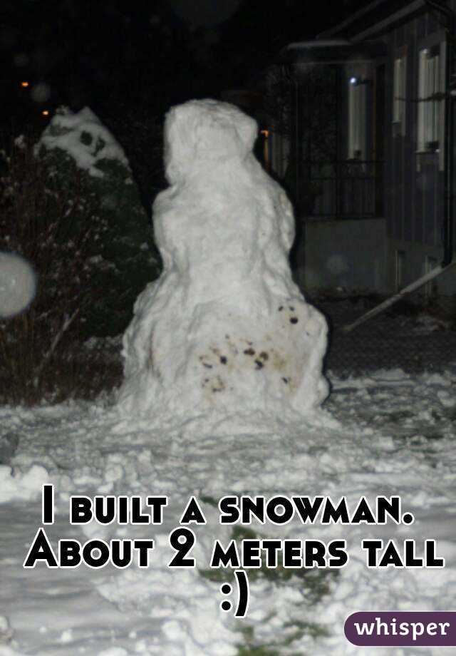 I built a snowman. About 2 meters tall :)