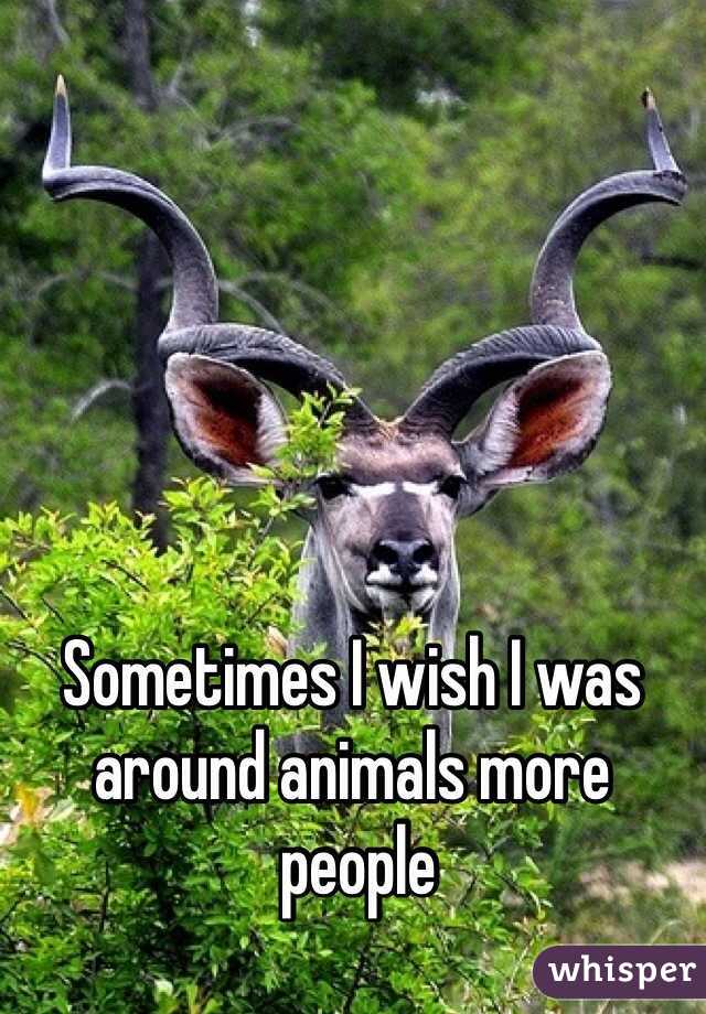 Sometimes I wish I was around animals more
 people 