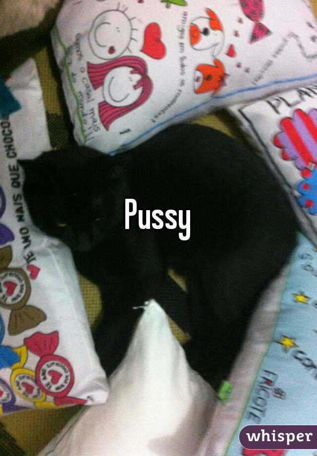 Pussy