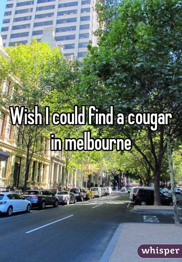 Wish I could find a cougar in melbourne 