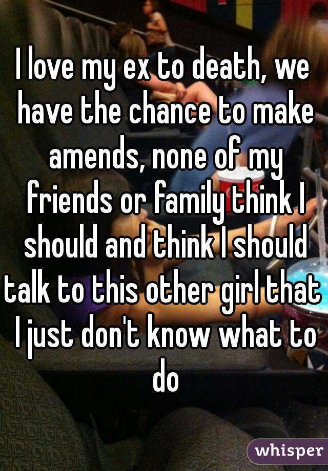 I love my ex to death, we have the chance to make amends, none of my friends or family think I should and think I should talk to this other girl that  I just don't know what to do