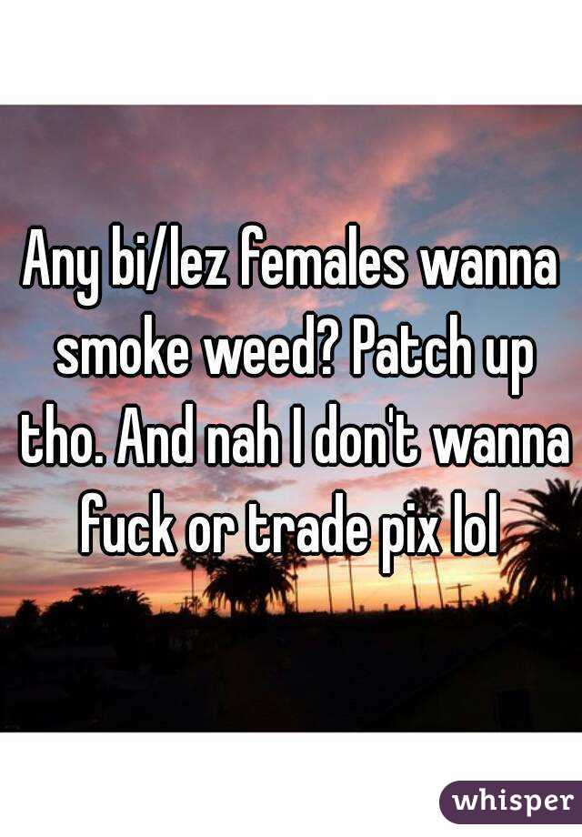 Any bi/lez females wanna smoke weed? Patch up tho. And nah I don't wanna fuck or trade pix lol 