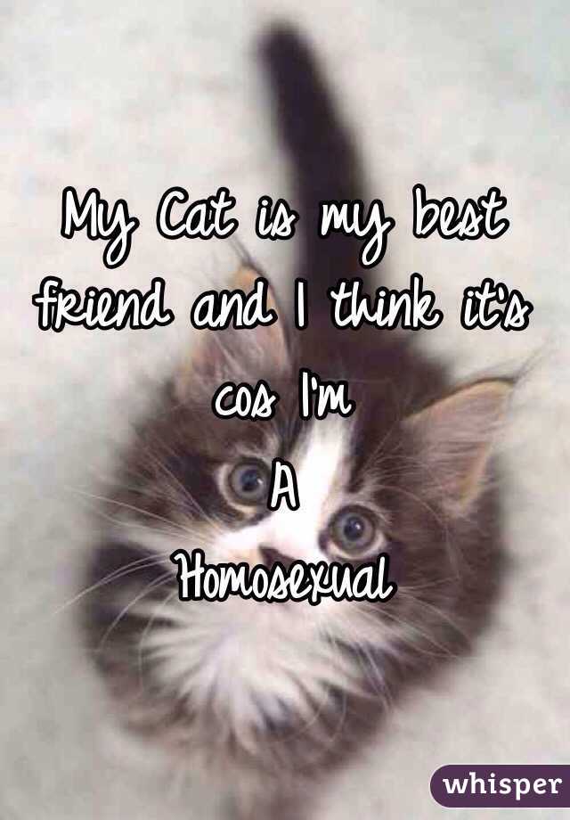 My Cat is my best friend and I think it's cos I'm
A
Homosexual 