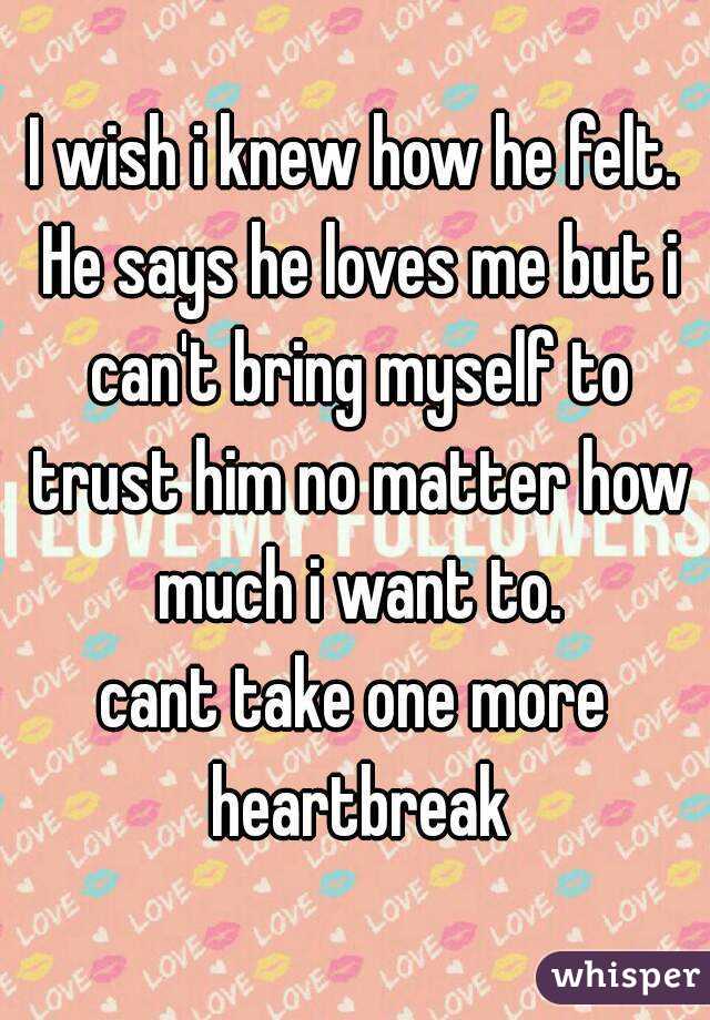 I wish i knew how he felt. He says he loves me but i can't bring myself to trust him no matter how much i want to.
cant take one more heartbreak