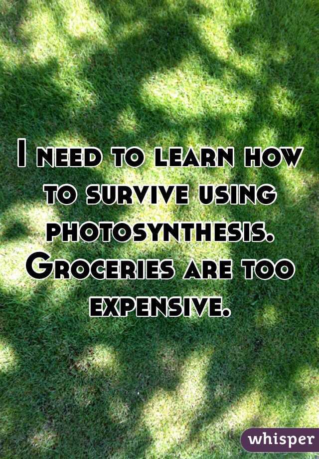 I need to learn how to survive using photosynthesis. 
Groceries are too expensive. 