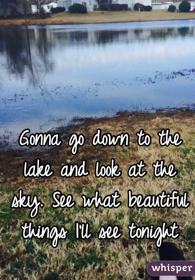 Gonna go down to the lake and look at the sky. See what beautiful things I'll see tonight 