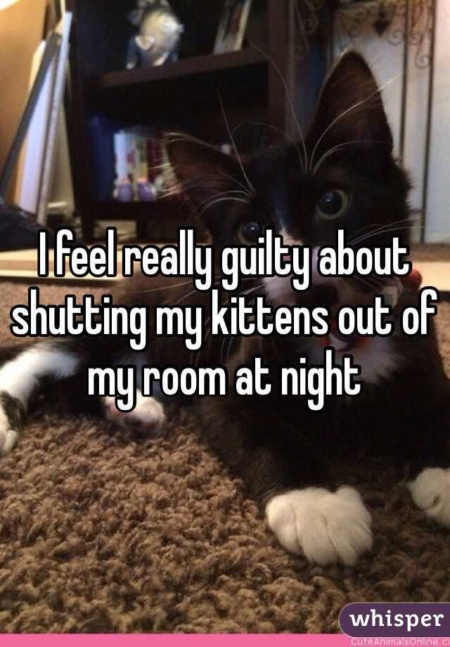 I feel really guilty about shutting my kittens out of my room at night