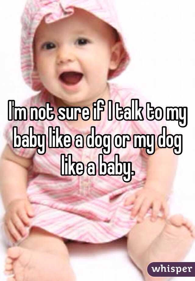 I'm not sure if I talk to my baby like a dog or my dog like a baby.