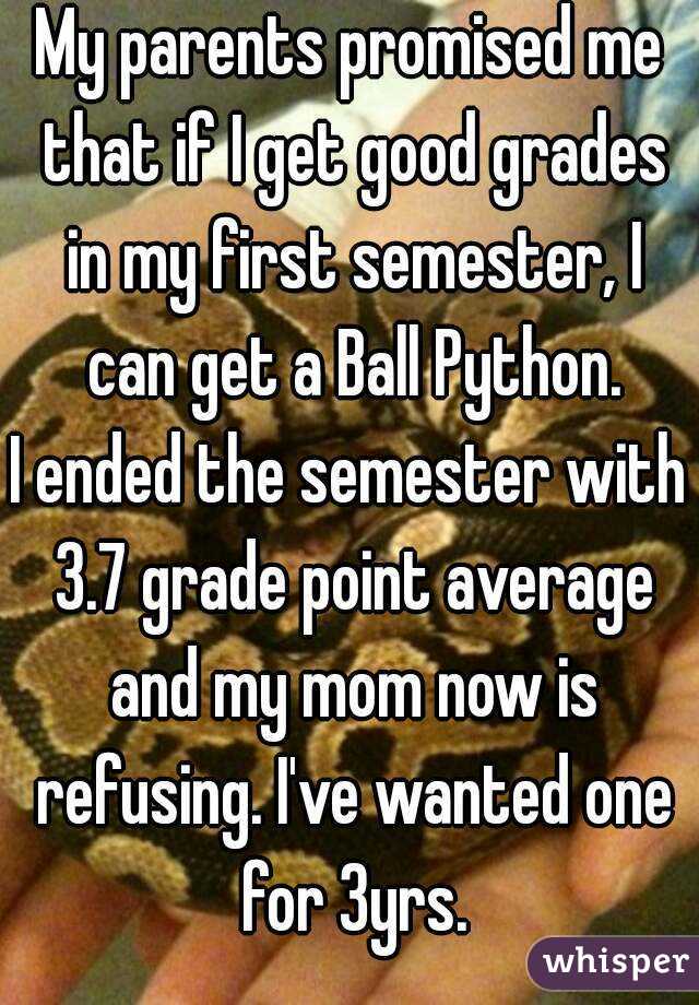 My parents promised me that if I get good grades in my first semester, I can get a Ball Python.
I ended the semester with 3.7 grade point average and my mom now is refusing. I've wanted one for 3yrs.