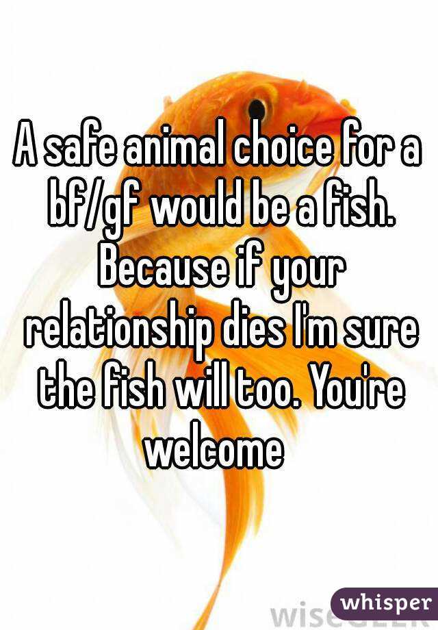 A safe animal choice for a bf/gf would be a fish. Because if your relationship dies I'm sure the fish will too. You're welcome  