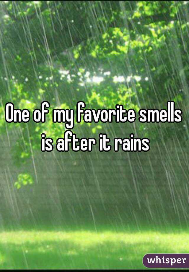 One of my favorite smells is after it rains
