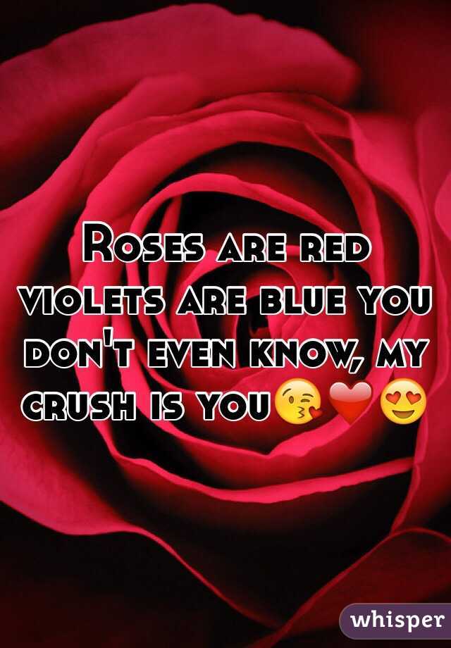 Roses are red violets are blue you don't even know, my crush is you😘❤️😍