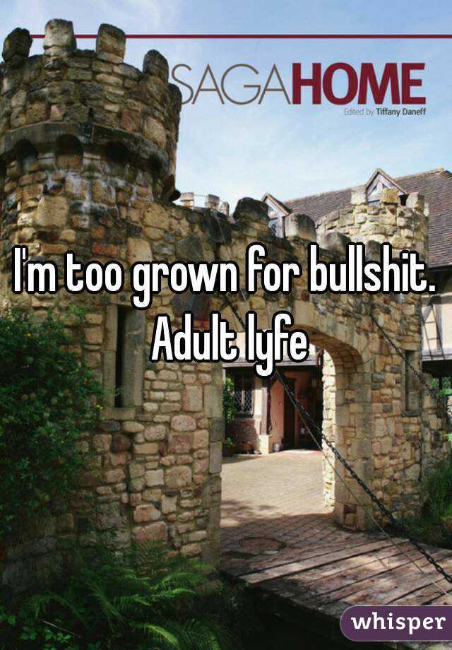 I'm too grown for bullshit. Adult lyfe