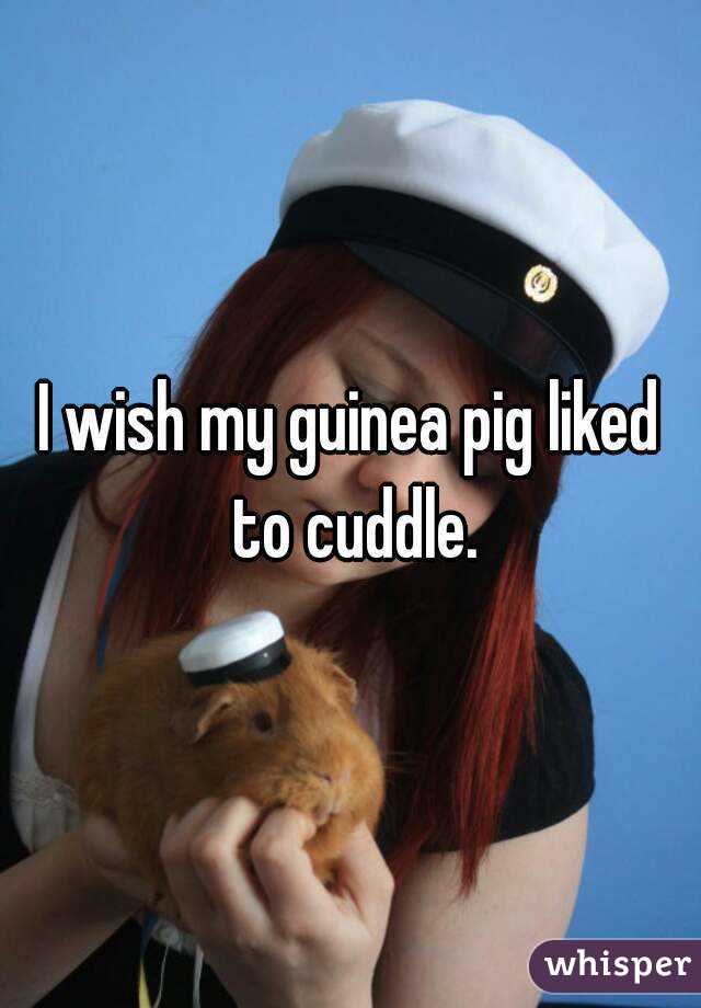 I wish my guinea pig liked to cuddle.