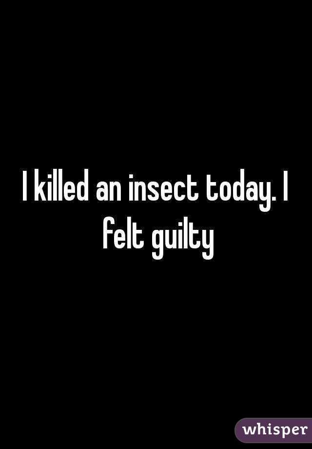 I killed an insect today. I felt guilty
