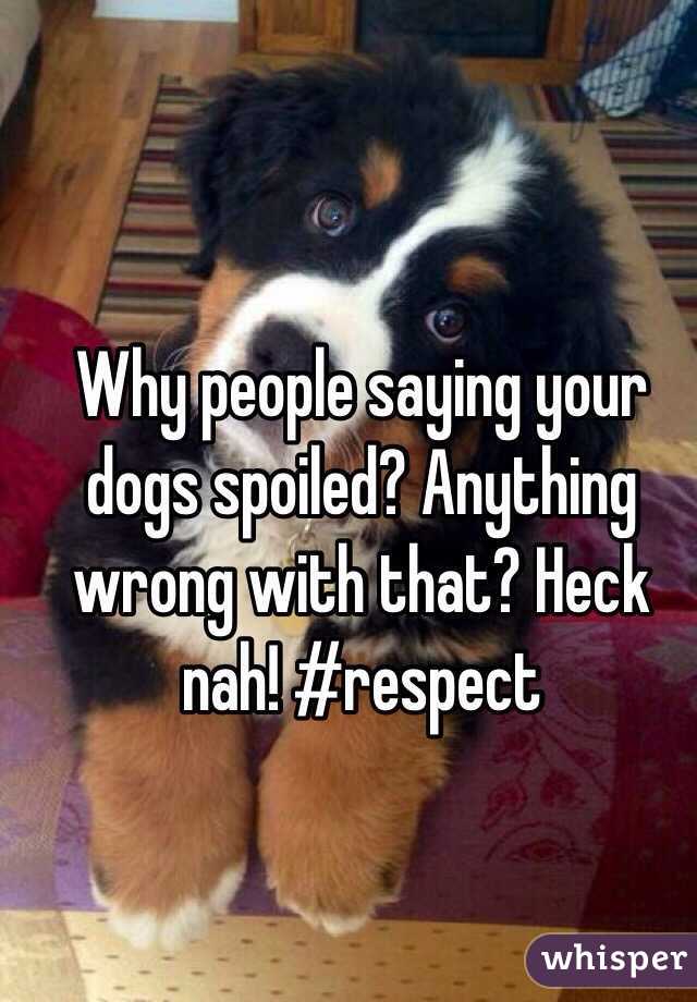 Why people saying your dogs spoiled? Anything wrong with that? Heck nah! #respect